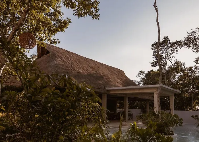 Seremonia Oasis De Lujo En La Selva Villa
