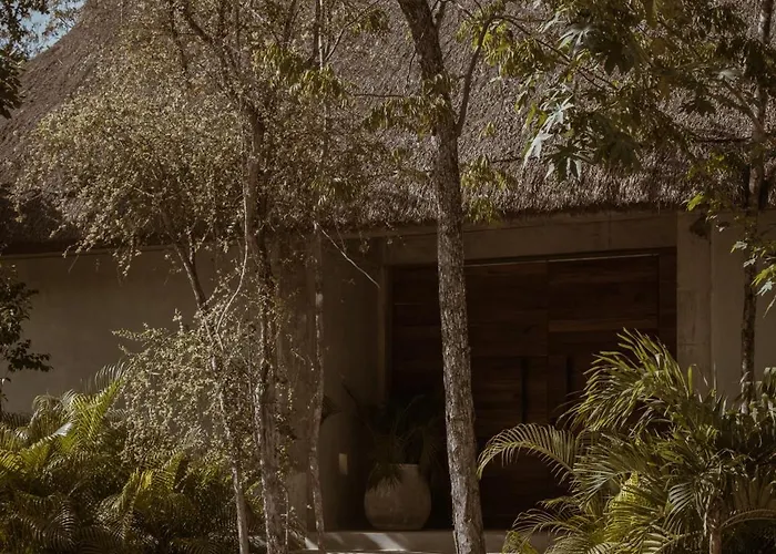 Villa Seremonia Oasis De Lujo En La Selva *